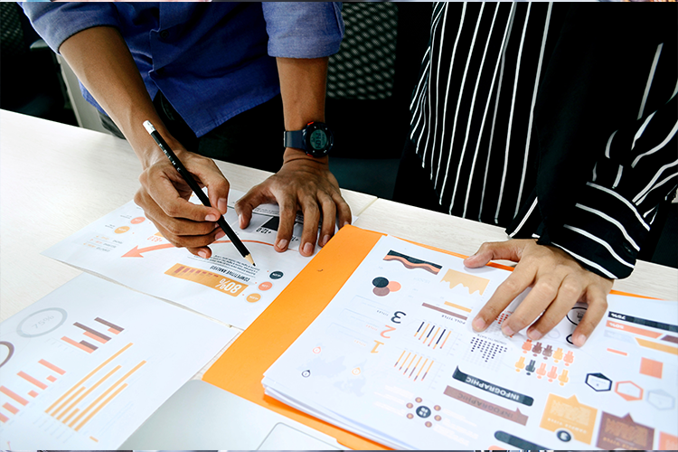 Program Management Strategy - Nzuri Strategy
